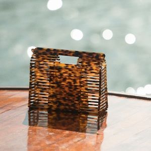 Anthropologie Acrylic Tortoise handbag